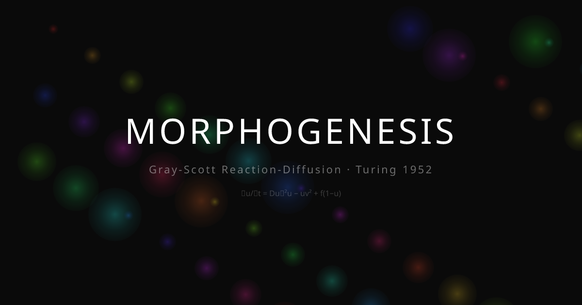 morphogenesis